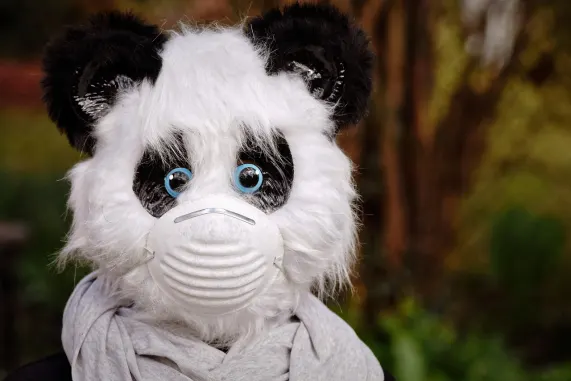 Casino Eight Storm Support